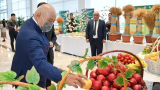 Рекордный урожай собрали в Туркестанской области