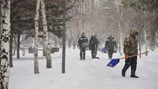 Не убирающих снег КСК и ОСИ будут штрафовать в Нур-Султане