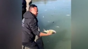 Рыба погибла из-за утечки вина в озеро в Китае