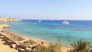 В Минздраве объяснили приостановление авиасообщения с Египтом