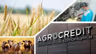 АКК направила 22,5 миллиарда тенге на микрокредитование бизнеса в регионах
