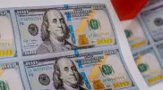Каким будет официальный курс доллара 1 декабря