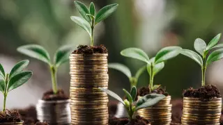 Halyk Bank первым в Казахстане начал выдачу зеленых кредитов