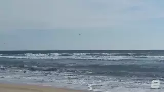 Сын министра обороны Сальвадора погиб при крушении военного самолета