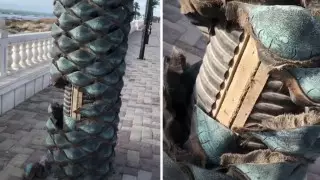 Неизвестные испортили искусственную пальму на набережной Актау