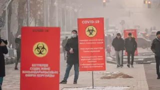 Цой ответил на вопрос о новых ограничениях из-за омикрон-штамма