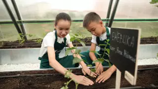 Теплицы и новый терминал аэропорта: Фонд Булата Утемуратова подвел итоги года