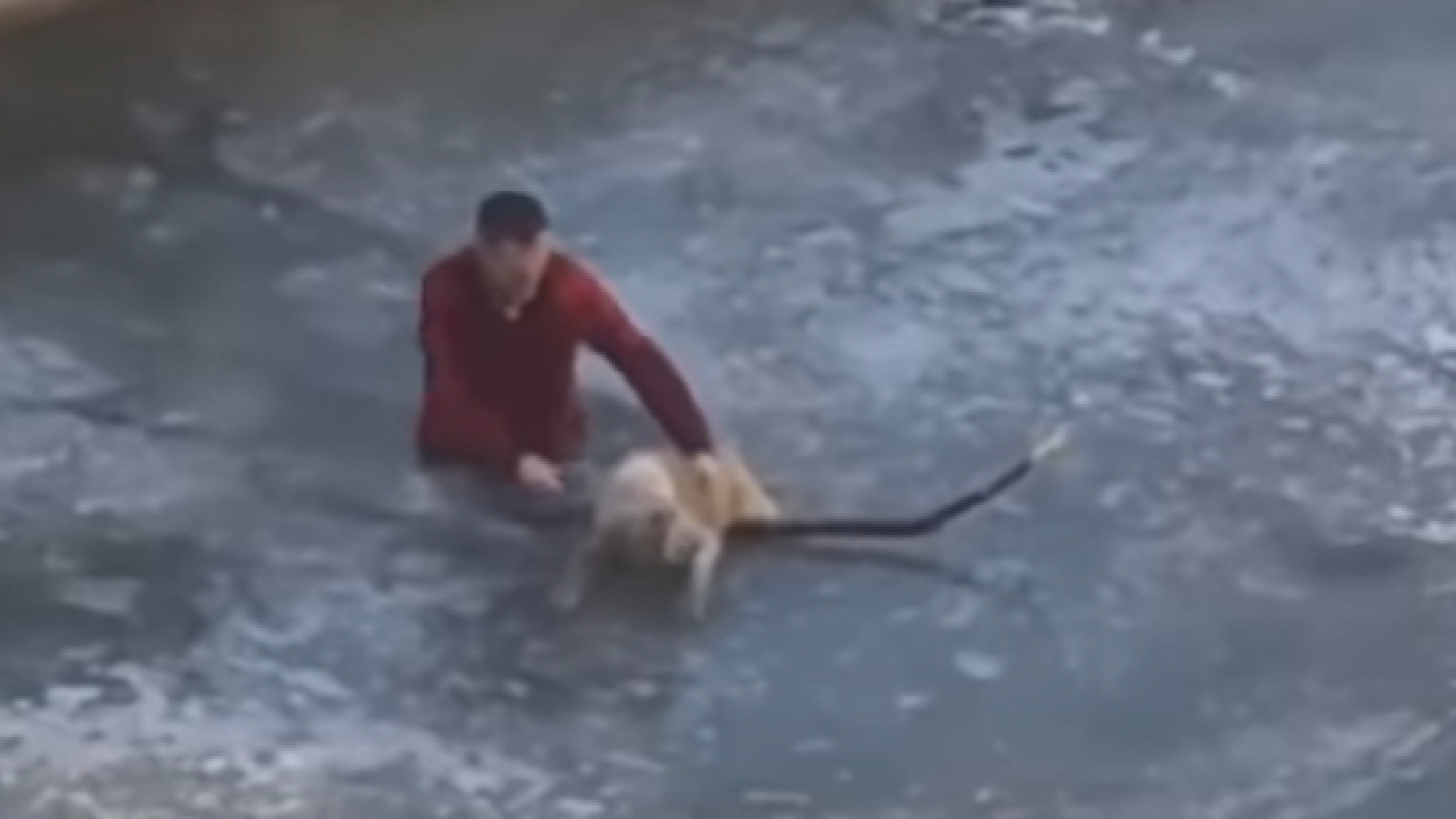 Спас собаку из ледяной воды. Спасение собаки провалившегося под лед.