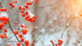 Казахстанцам пообещали холодную погоду без осадков