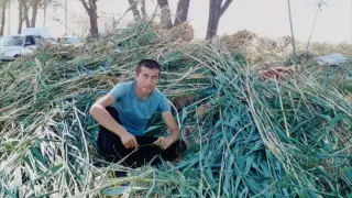 Парня из Шымкента, поставлявшего корма в засушливые регионы, бесплатно приняли в вуз