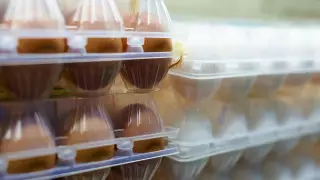 В Ассоциации яичных производителей Казахстана заявили о снижении цен на яйца