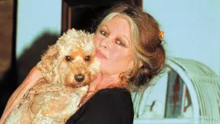 Брижит Бардо вновь обратилась к Токаеву из-за законопроекта о защите животных