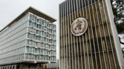 В ВОЗ изучают различные сценарии развития ситуации с COVID-19