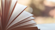 Одну из самых маленьких книг в мире продали на аукционе в Бельгии