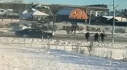 Двух школьников сбили на пешеходном переходе в Петропавловске