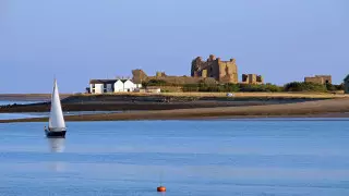 "Короля" для британского острова выберут среди любителей пива