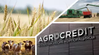 Аграрная кредитная корпорация стала оператором по страхованию в АПК
