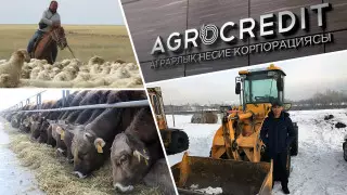 Льготное кредитование создает новые рабочие места в ВКО