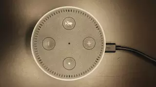 Alexa предложила опасный челлендж для 10-летней девочки