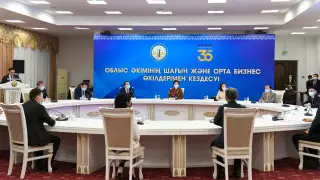 Гульшара Абдыкаликова встретилась с представителями бизнеса