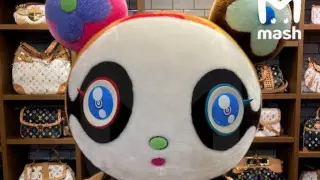 Подержанного плюшевого медвежонка продают по цене квартиры в Москве