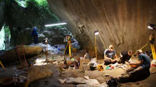 Новые доказательства равенства полов в каменном веке нашли ученые