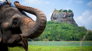 Крепость львов, Шри-Ланка. @Shutterstock