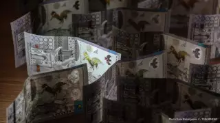 "Друзьям все, остальным - по закону" - Токаев раскритиковал меры господдержки