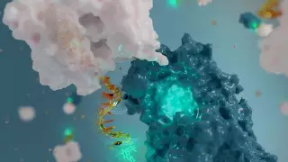 Ученые создали самую маленькую антенну в мире из ДНК