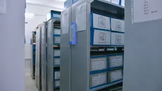 "Не видно, что отправляют". Мародеров заподозрили в пересылке товаров почтой