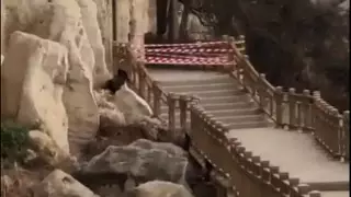 Туробъект "Скальная тропа" признали потенциально опасным и временно закрыли в Актау