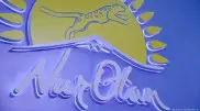 Названа дата съезда Nur Otan