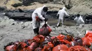 Режим ЧС объявили в Перу из-за разлива нефти