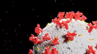 Биодатчик для определения штамма коронавируса разработали в Корее