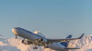 "Из Алматы в Нур-Султан пешком" - в авиакомпании прокомментировали видео