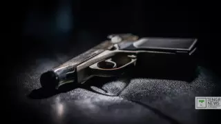 Пошлину на хранение оружия впервые ввели в США