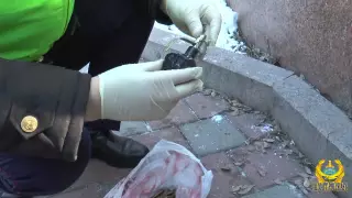 Боеприпасы нашли у станции метро в Алматы
