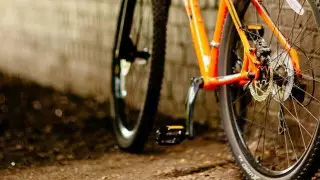 В Алматы появятся велосветофоры