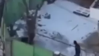 Алматинец публично извинился за грубое обращение с собакой