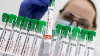 Ученые предупредили об опасности нового подвида "омикрона"