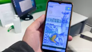 Раскрыть данные о крупных переводах за рубеж в январе предложил депутат