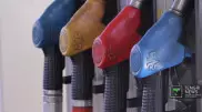 Министрге жанармай құю станцияларын тексеру ұсынылды