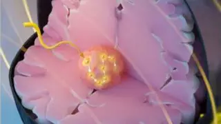 Ученые создали магнитные "семена", которые убивают раковые клетки