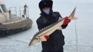 Ущерб государству на 575 миллионов тенге предотвратили морские пограничники