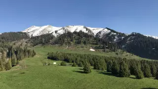 Кок-Жайлау вернули в состав Иле-Алатауского нацпарка