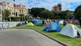 Протестующие четвертый день блокируют парламент Новой Зеландии