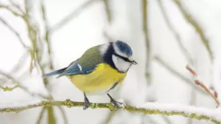 Метели и осадки: погода на выходные в Казахстане