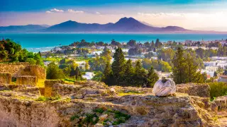 Тунис упростил въезд для туристов