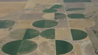 Мегазасуха на юго-западе США оказалась самой сильной за тысячелетие