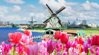 Нидерланды отменяют карантин для туристов с 25 февраля